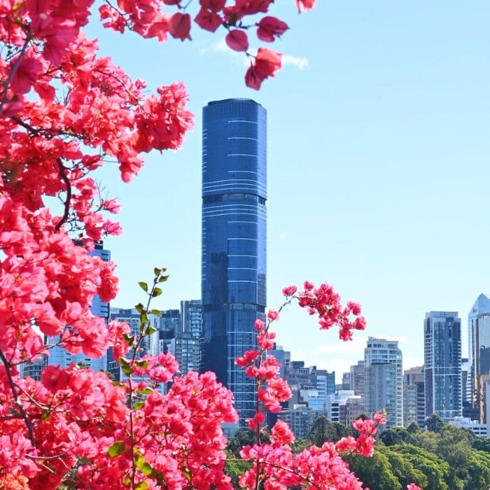 Top Destinations image
