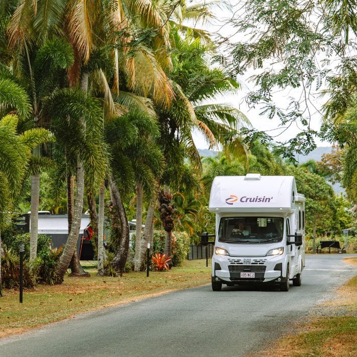 Road Trips from Cairns image