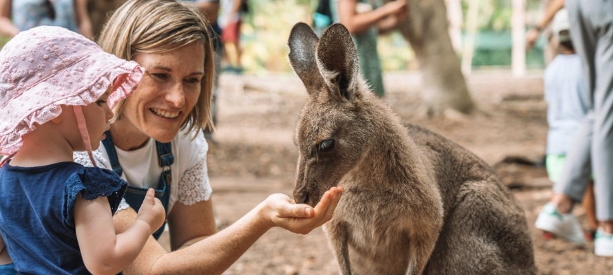 Australia Zoo