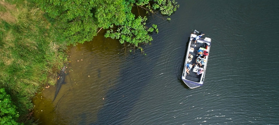 Croc Cruise