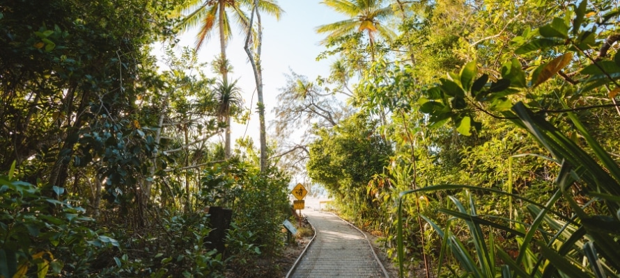 Dubuji walk