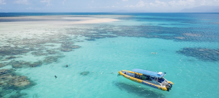 ocean safari