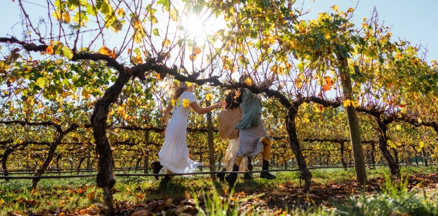 King Valley