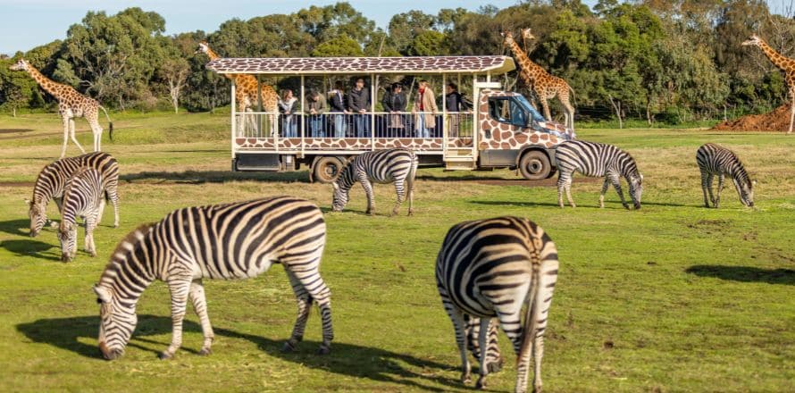 Werribee Open Range Zoo