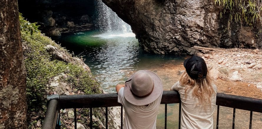 Discover Glow Worms In Springbrook National Park
