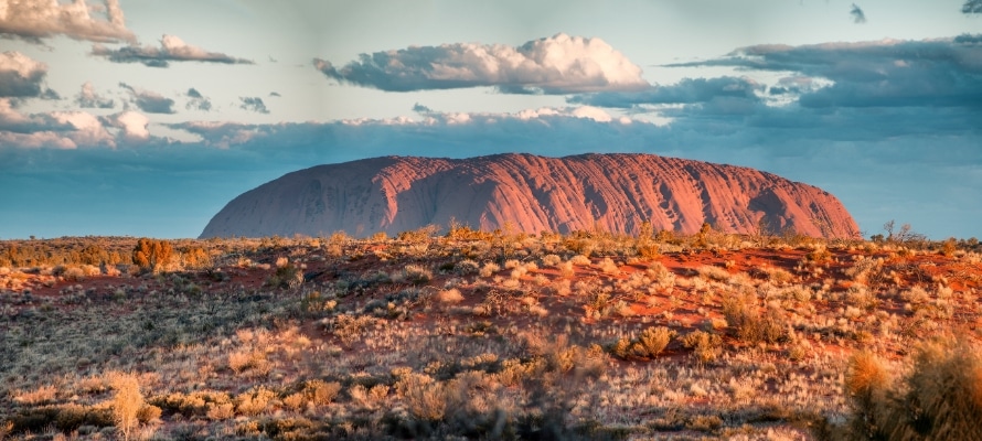 NT