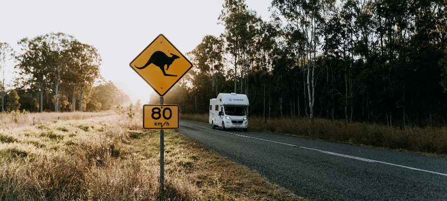 Driving in Tassie