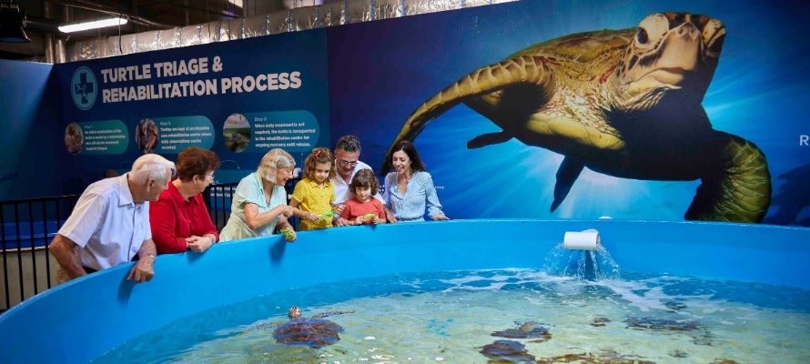 Cairns Aquarium