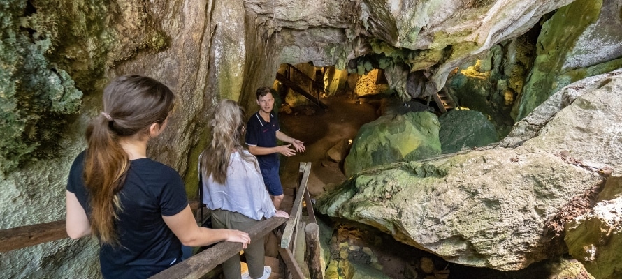 Capricorn Caves